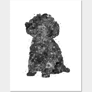Toy Poodle dog black and white Posters and Art